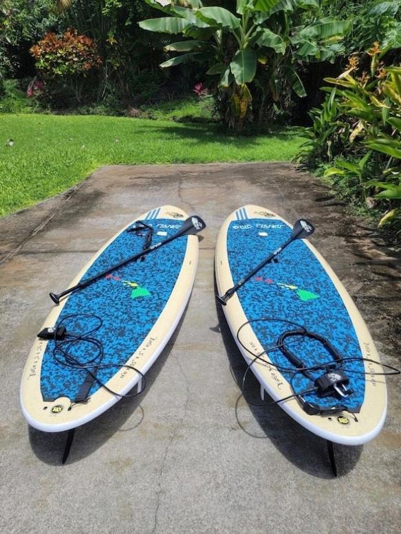 Newly Renovated With Sup Paddle Boards And Golf Clubs Included *