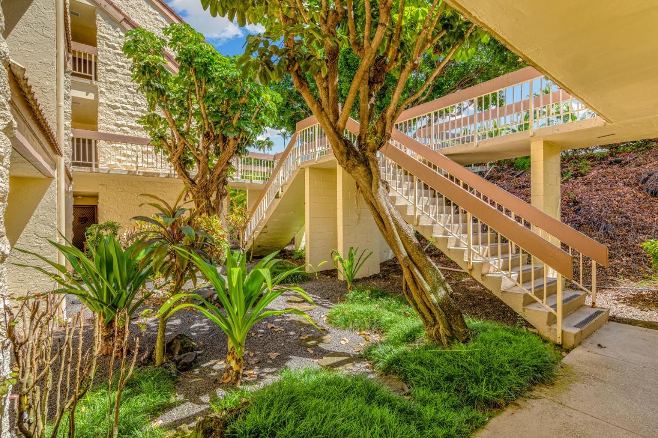 Apartamento Newly Renovated With Sup Paddle Boards And Golf Clubs Included Kailua-Kona