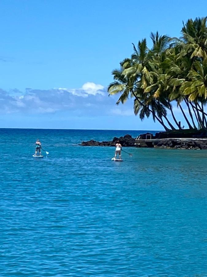 Newly Renovated With Sup Paddle Boards And Golf Clubs Included *