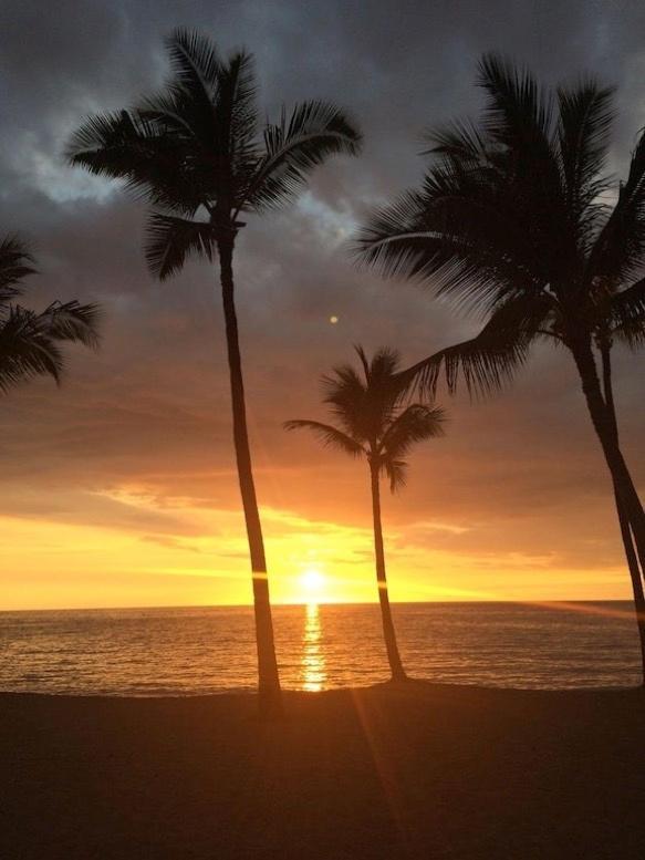 Newly Renovated With Sup Paddle Boards And Golf Clubs Included Kailua-Kona